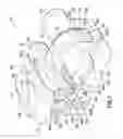 Fig. 02 - Self-ligating orthodontic bracket