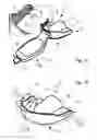 Fig. 06 - IMPRESSION TRAY, AND METHOD FOR CAPTURING STRUCTURES, ARRANGEMENTS OR SHAPES, IN PARTICULAR IN THE MOUTH OR HUMAN BODY
