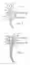 Fig. 06 - Dispensing device for a dental substance