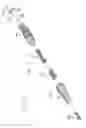 Fig. 06 - Dental securing mechanism with varying thread size