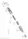 Fig. 06 - Dental abutment with cover