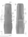 Fig. 08 - Dental abutment with cover