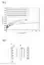 Fig. 03 - Inorganic-inorganic composite material and method for producing the same