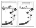 Fig. 01 - DETECTION OF CHROMATIN STRUCTURE