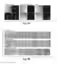 Fig. 07 - Methods tip assemblies and kits for introducing material into cells
