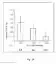 Fig. 05 - METHODS FOR DETERMINING GENE-ALPHA TOCOPHEROL INTERACTIONS