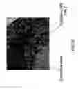 Fig. 28 - Kits for and methods of differential staining of cervical cancer cells and/or tissues