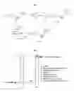 Fig. 03 - MODIFIED NUCLEOTIDE AND REAL-TIME POLYMERASE REACTION USING THE SAME