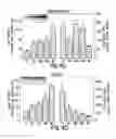 Fig. 06 - Mouse model for pompe disease and methods of use thereof