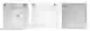 Fig. 01 - Diagnostic antibody assay