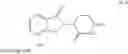 Fig. 05 - Lenalidomide and thalidomide immunoassays