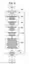 Fig. 07 - Quantitative analysis of a biological sample of unknown quantity