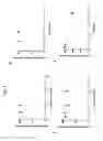 Fig. 06 - Lipoprotein lipase assay