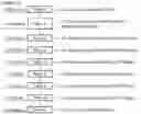 Fig. 02 - Method of identifying metallo-β-lactamase-producing bacteria