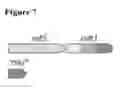 Fig. 08 - Activity of Fe—S cluster requiring proteins