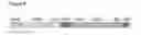 Fig. 09 - Activity of Fe—S cluster requiring proteins