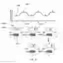 Fig. 09 - CELL-BASED SENSING SYSTEMS AND METHODS
