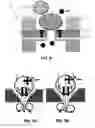 Fig. 04 - ACTIVE MICRO SIEVE AND METHODS FOR BIOLOGICAL APPLICATIONS