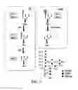 Fig. 02 - Endomannosidases in the modification of glycoproteins in eukaryotes