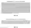 Fig. 10 - Bacterial virulence factors and uses thereof