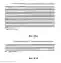 Fig. 30 - Bacterial virulence factors and uses thereof