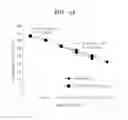 Fig. 06 - Method and composition for enhancing efficiency and sensitivity in polymerase chain reaction