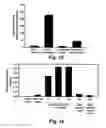 Fig. 12 - Termite enzymes and uses thereof for in vitro conversion of lignin-containing materials to fermentable products