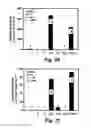 Fig. 15 - Termite enzymes and uses thereof for in vitro conversion of lignin-containing materials to fermentable products