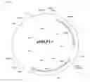 Fig. 04 - Coryneform host-vector systems comprising a chromosomal ALR gene which is attenuated or eliminated and methods of using