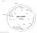 Fig. 06 - Coryneform host-vector systems comprising a chromosomal ALR gene which is attenuated or eliminated and methods of using