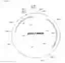 Fig. 08 - Coryneform host-vector systems comprising a chromosomal ALR gene which is attenuated or eliminated and methods of using