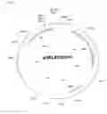 Fig. 09 - Coryneform host-vector systems comprising a chromosomal ALR gene which is attenuated or eliminated and methods of using