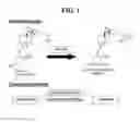 Fig. 02 - Buffer composition for catalyzing the preparation of calcitriol or calcifediol and method for preparing calcitriol or calcifediol using same