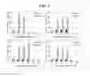 Fig. 04 - Buffer composition for catalyzing the preparation of calcitriol or calcifediol and method for preparing calcitriol or calcifediol using same