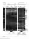 Fig. 03 - Recombinant yeast with improved ethanol tolerance and related methods of use