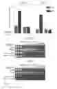 Fig. 06 - Recombinant yeast with improved ethanol tolerance and related methods of use