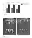 Fig. 10 - Recombinant yeast with improved ethanol tolerance and related methods of use