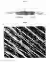 Fig. 04 - High-density spot seeding for tissue model formation