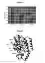 Fig. 03 - Hybridization linkers