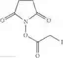 Fig. 10 - Hybridization linkers