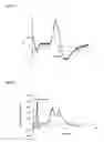 Fig. 07 - Chromatography Membranes for the Purification of Chiral Compounds