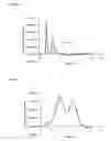 Fig. 09 - Chromatography Membranes for the Purification of Chiral Compounds