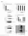 Fig. 03 - Methods for enhancing infectivity of retroviruses