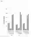 Fig. 10 - Methods for enhancing infectivity of retroviruses