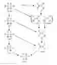 Fig. 01 - Anaerobic microbial composition and methods of using same
