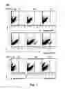 Fig. 02 - Method for inhibiting the growth of by using CD13 receptor