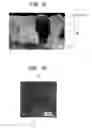 Fig. 06 - Method for producing light-emitting film and light-emitting device