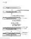 Fig. 06 - METHOD FOR MANUFACTURING SOLAR CELL