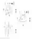 Fig. 05 - MULTIPLE SECTION SHOWERHEAD ASSEMBLY