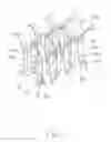 Fig. 02 - Socket with improved contact array
